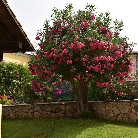 Splendida Villetta Tavolara 1 Vaccileddi Buitenkant foto