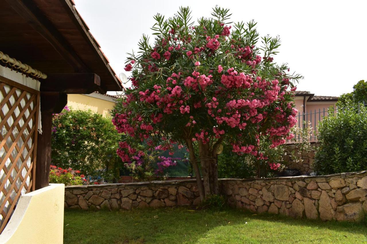 Splendida Villetta Tavolara 1 Vaccileddi Buitenkant foto