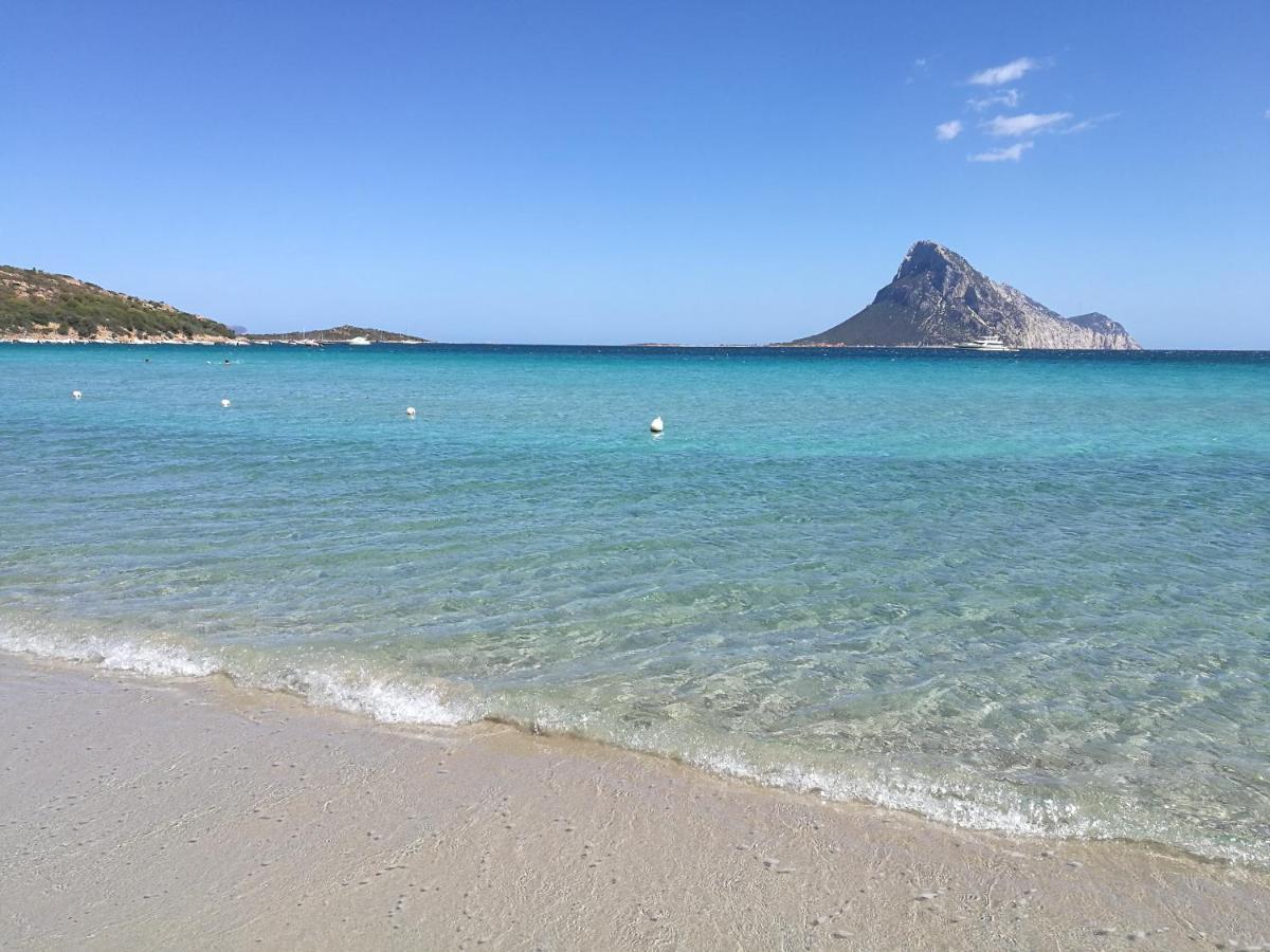 Splendida Villetta Tavolara 1 Vaccileddi Buitenkant foto